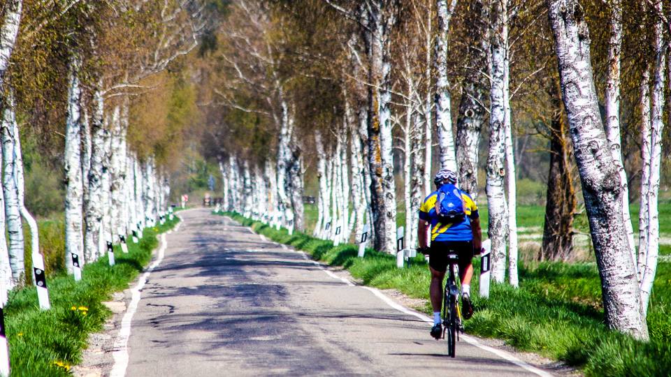 Der Donau-Bodensee-Radweg