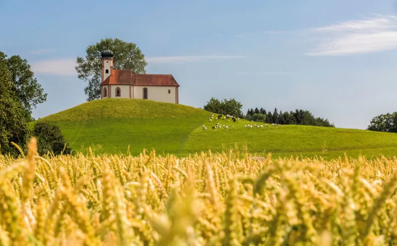 Das schwäbische Bad Waldsee