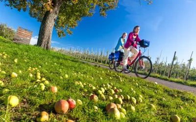 Auf dem Rad durch den Thurgau