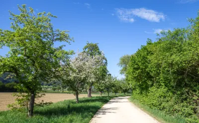 Landschaft bei Bohlingen
