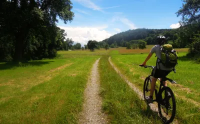 Mountainbike Bodanrück