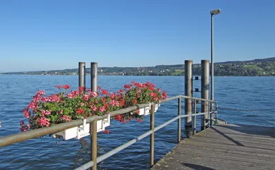 Schiffsanleger Insel Reichenau