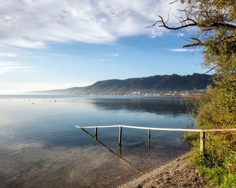 Bodman-Ludwigshafen, 