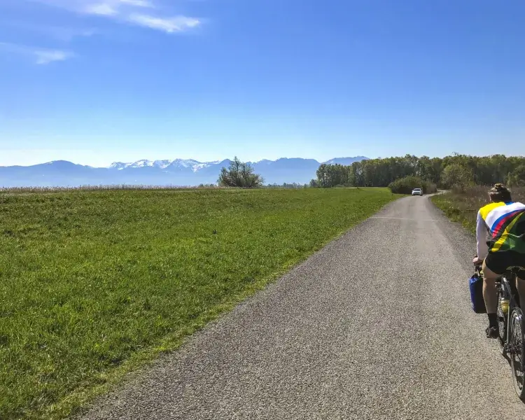 Rennrad Bodensee