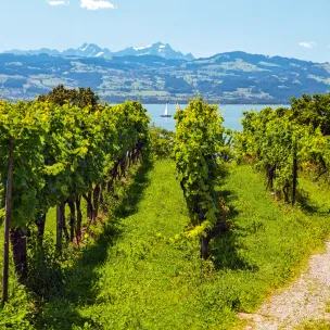 5 Tipps: Günstig am Bodensee Radreisen