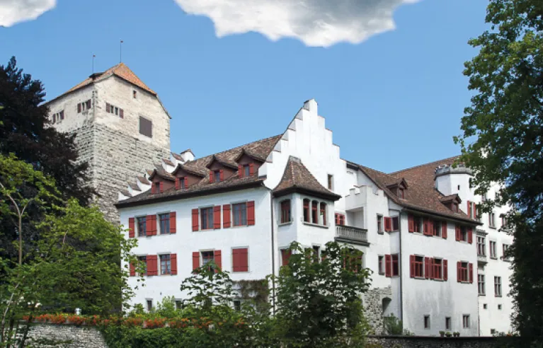 Schloss Arbon