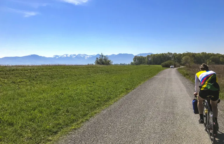 Rennrad auf dem Bodensee Radweg