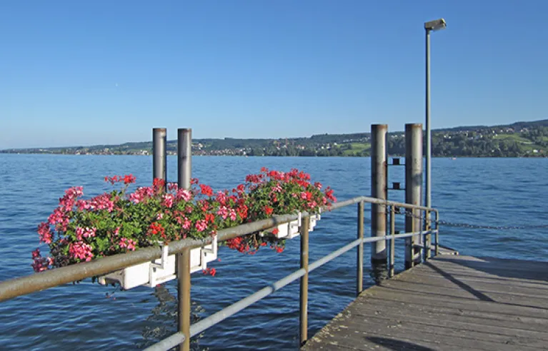 Schiffsanleger Insel Reichenau