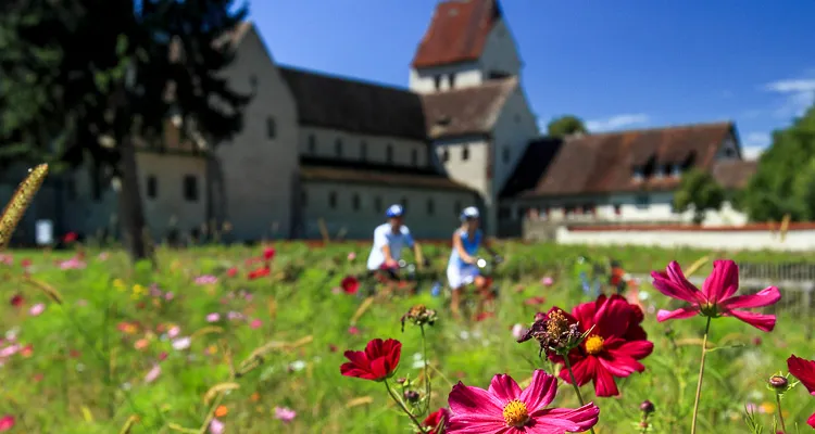 Bodensee-Radweg, Insel Reichenau