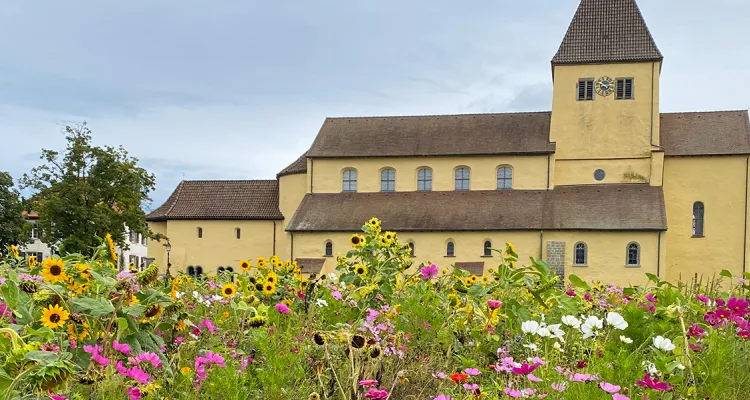 Reichenau
