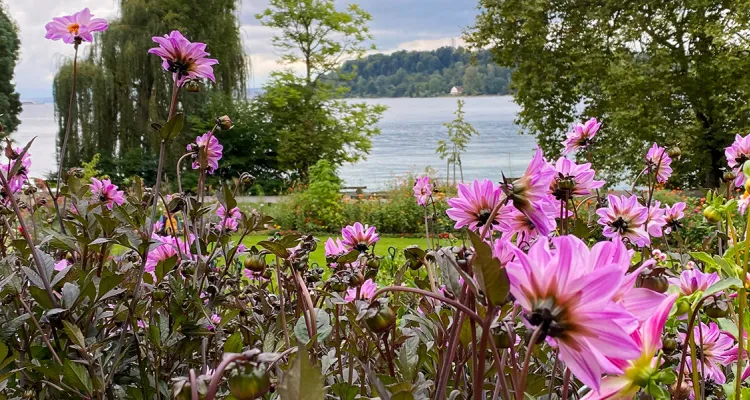 Mainau