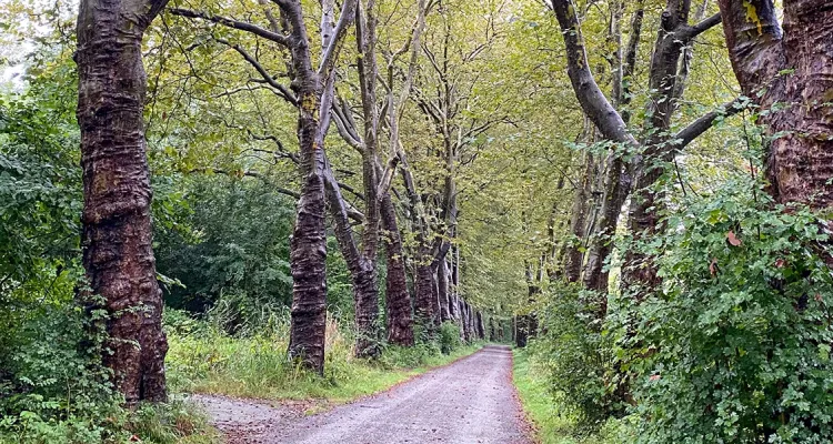 Fahrradweg