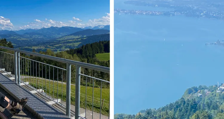 Blick vom Pfänder