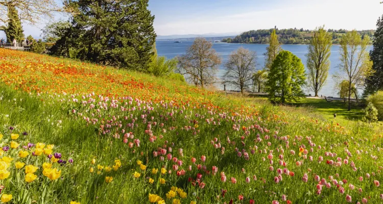 Blumeninsel Mainau