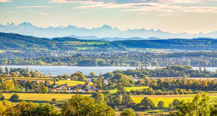 Blick auf Markelfingen und den Untersee