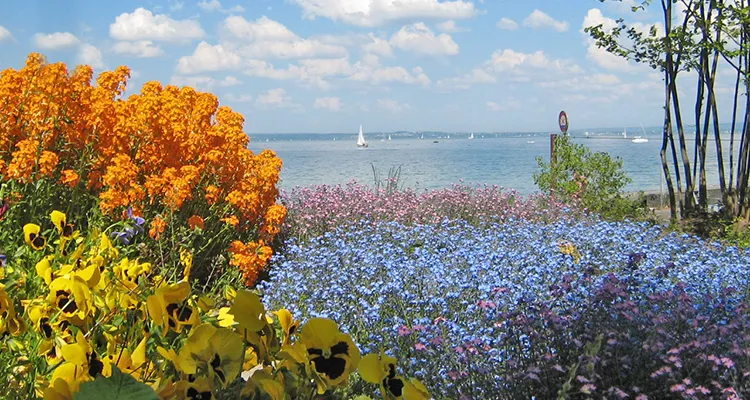 Bodensee, Insel Mainau