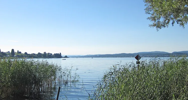Gnadensee vor der Insel Reichenau