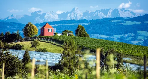 Mit dem Rad vom Bodensee an die Donau und ins Allgäu