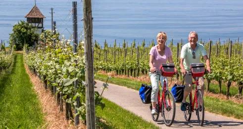 Die klassische Bodensee Radreise